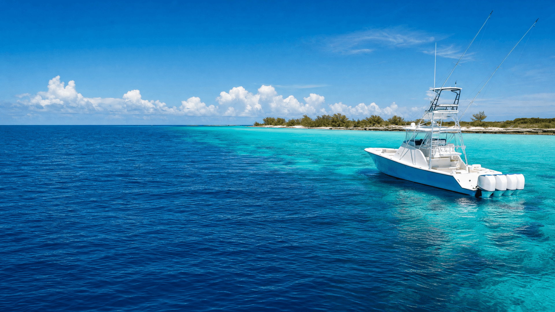 Bimini