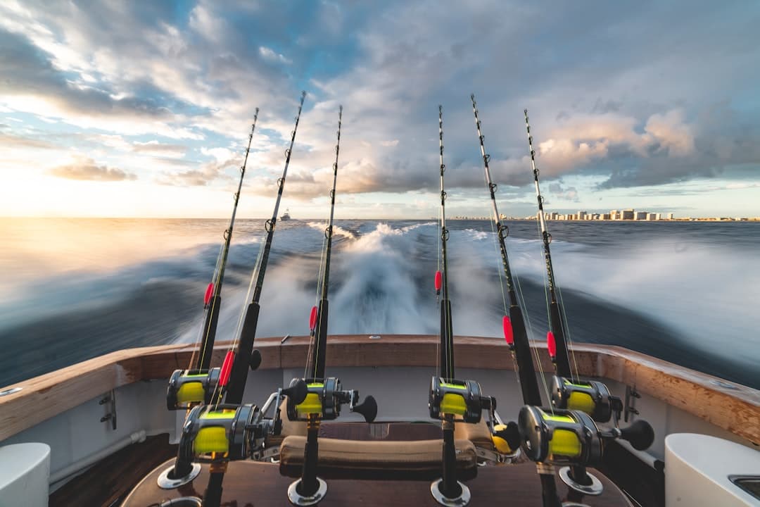 United States Fishing Guide