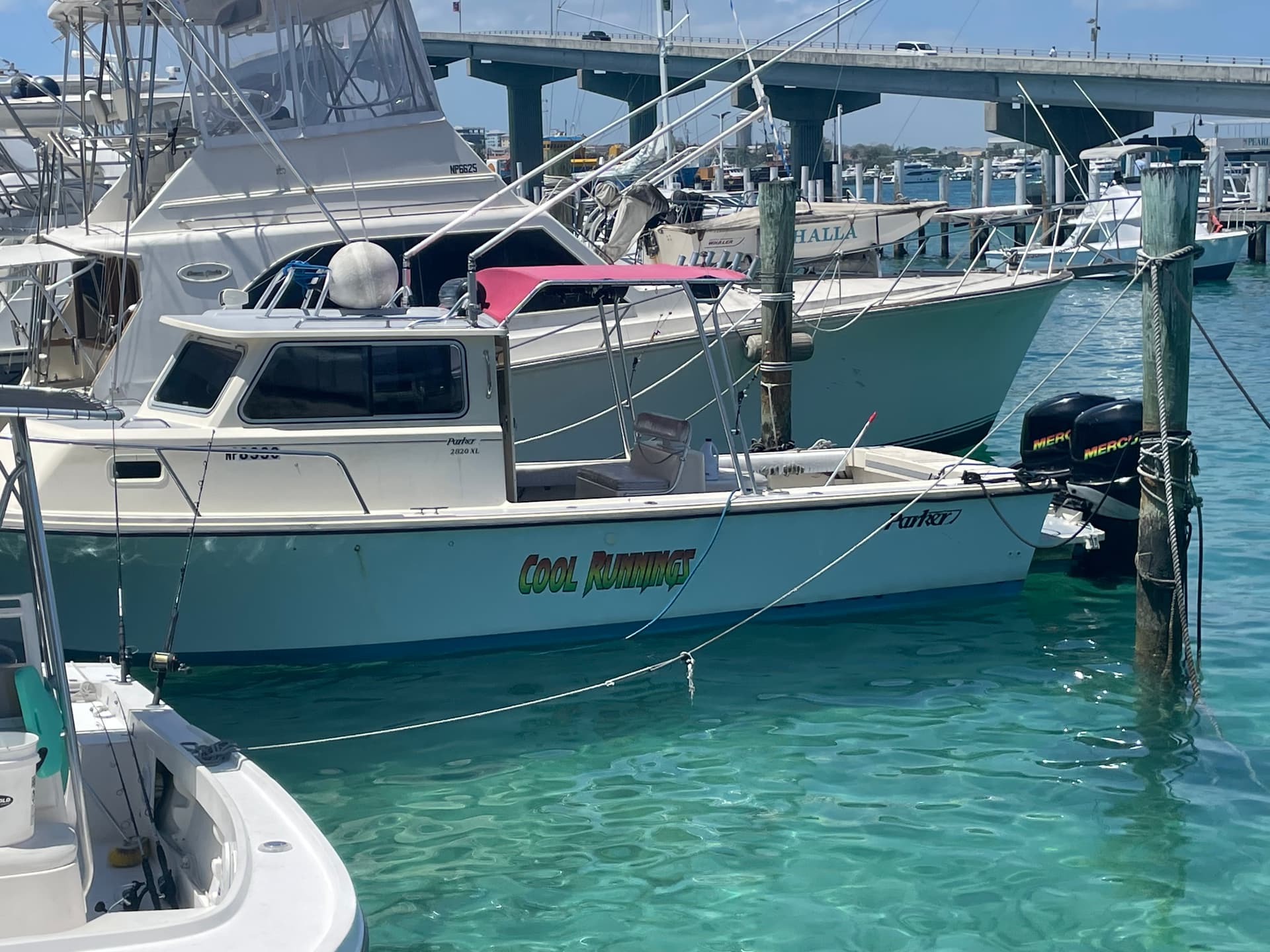 Hook Um Fishing Charters photo 4